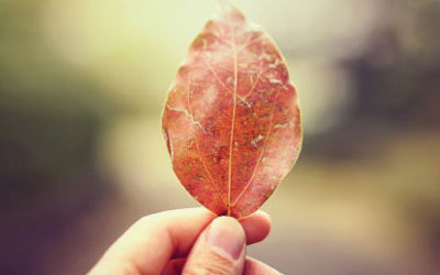 Making Life Better from the Inside Out
