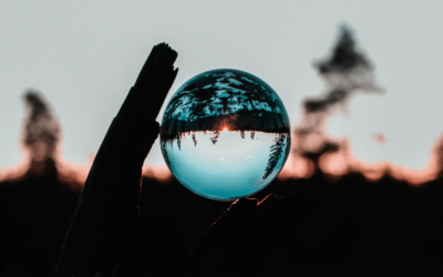 August Market Commentary